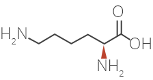 L-lysine structure